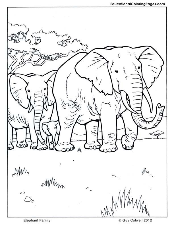 Plansa de colorat cu Familie 32 27